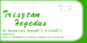 trisztan hegedus business card